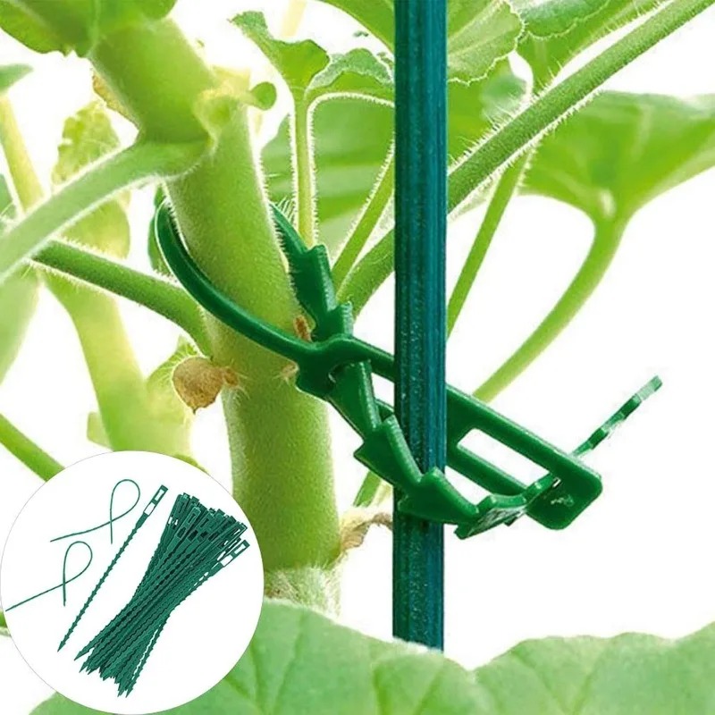 Kabel Pengikat Tanaman Reusabl - Vine Climbing Plastic ulasan dan harga