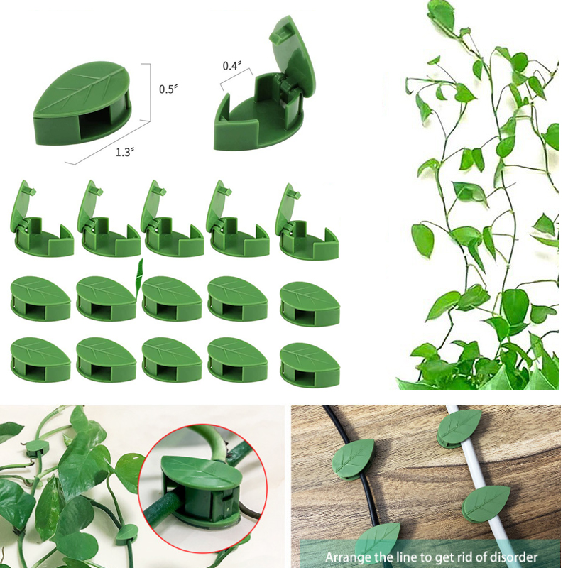 Perlengkapan Memanjat Dinding  - Vine Climbing Plastic ulasan dan harga