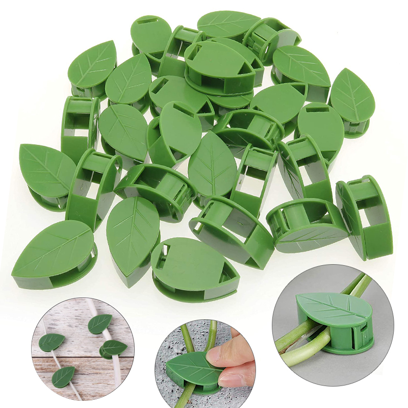 Perlengkapan Memanjat Dinding  - Vine Climbing Plastic ulasan dan harga